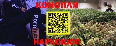 прущая мука Гусиноозёрск