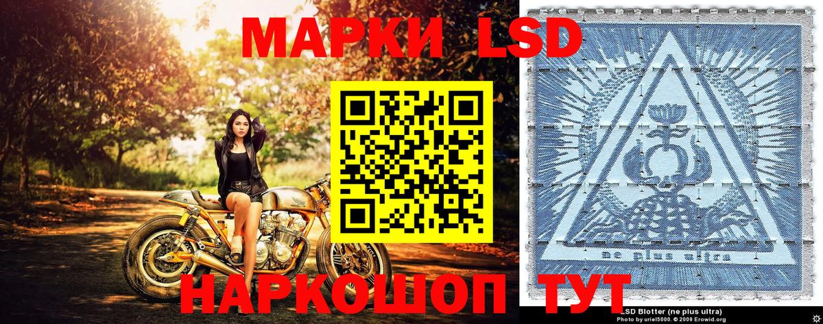 Наркотические марки 1,8мг  Наркотические марки 1,8мг  Вход с VPN  Моздок 