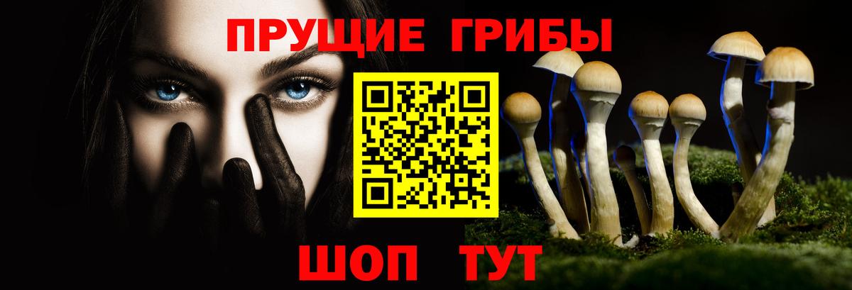 Моздок  что такое   Псилоцибиновые грибы ЛСД  Вход с VPN  Псилоцибиновые грибы мицелий 